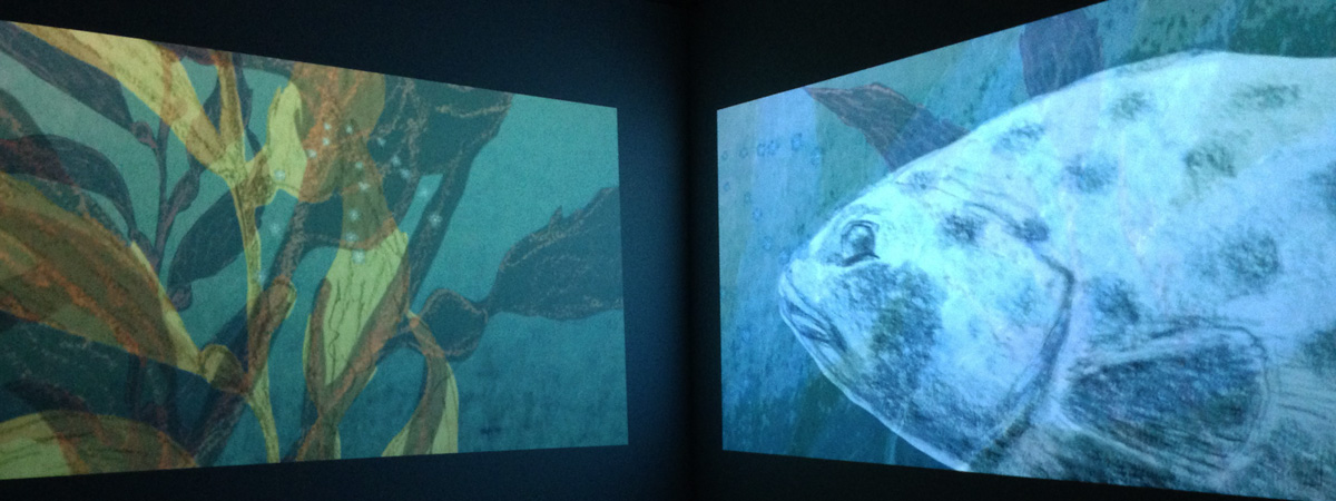 Projected images showing illustrations of sea plants and a fish.