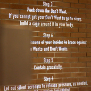 Words projected in white on a brick wall, some obscured by a square shape in the foreground. Words outline steps 3 through 6, beginning "push out the don't want" and ending "let out silent screams to release pressure, as needed."
