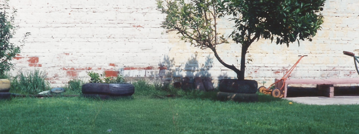 A green lawn in front of a brick wall painted white. Tree and plants planted in tires. A manual lawnmower.